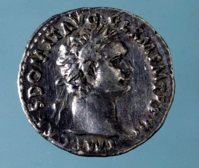与罗马皇帝 Domitian (51 - 96) 肖像的银币。米兰 Medagliere 的收藏。 作者 小说