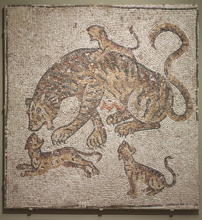 母老虎和幼崽，约公元300年 作者 小说