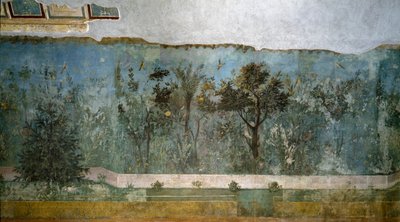 来自利维亚别墅的Trompe loeil花园，公元前40-20 作者 小说