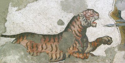 图片不明 作者 小说