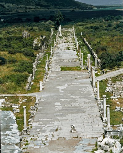 连接港口和剧院的港口大道（或阿卡迪亚大道），2 世纪 作者 小说
