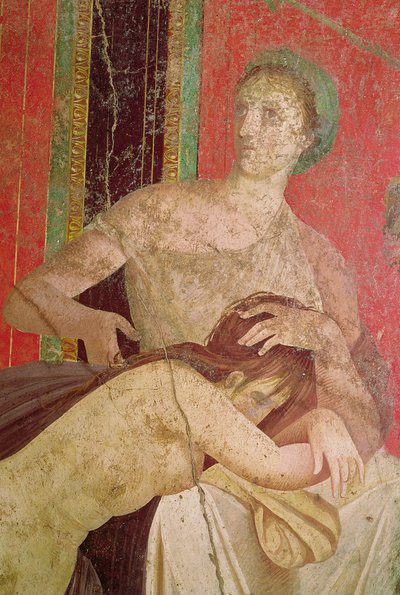 女人安慰启动，南墙，Oecus 5,60-50 BC壁画细节57190和161043 作者 小说