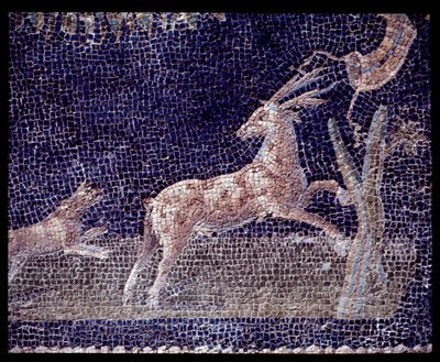 公元前 5 世纪至公元 1 世纪 casa di Nettuno e Anfitrite 的 nymphaeum 墙壁马赛克细节 作者 罗马罗马