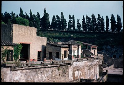 马赛克中的 casa dell