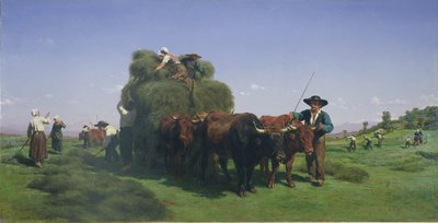 牧草，Auvergne 作者 粉红色的快乐