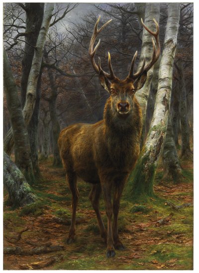 森林之王，1878年 作者 Rosa Bonheur