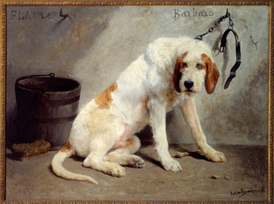 狩猎后的巴巴罗犬（猎犬） 作者 粉红色的快乐