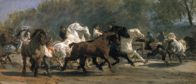 研究马场，1852-54 作者 Rosa Bonheur