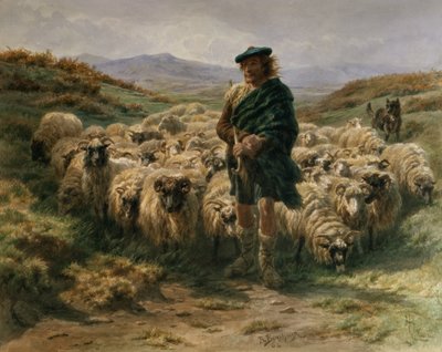高地牧羊人，水彩画 作者 Rosa Bonheur