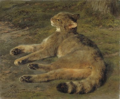 野猫，1850年 作者 Rosa Bonheur