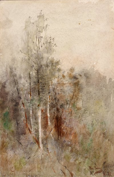 树木研究》，1879年。 作者 罗斯·特纳