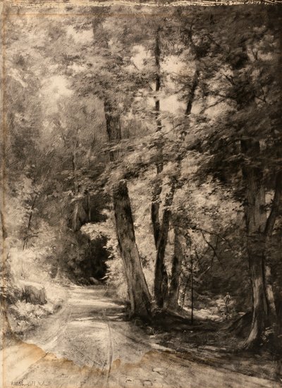 林地风景画的摄影凹版 作者 罗斯威尔·莫尔斯·舒特勒夫