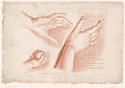 三只手的标题印刷
自然素描原理，第八部分（系列标题）
第 VIII Cahier de Principes du Dessin d