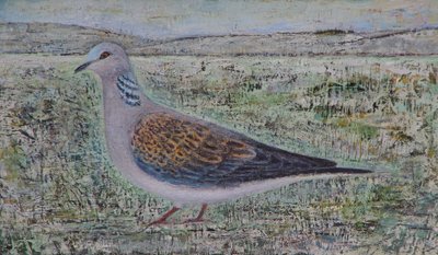 Turtle Dove 作者 露丝·艾迪纳尔