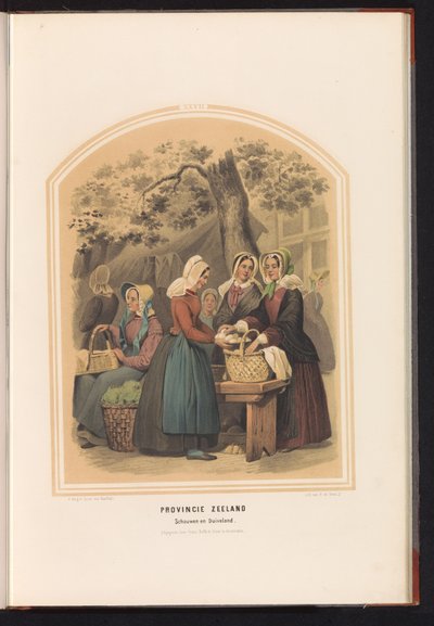 泽兰省 Schouwen 和 Duiveland 的传统服装，1857 年 泽兰省。 Schouwen en Duiveland / XXVII（物体上的标题） 作者 瓦伦丁·宾
