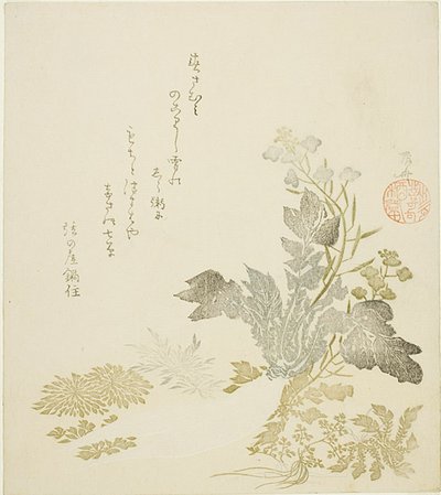 大萝卜、菊花和蕨类植物 作者 龙宫京心斋