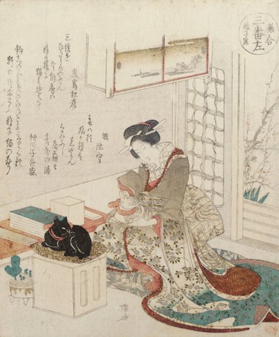 一个有两只猫的女孩 作者 龙宫京心斋