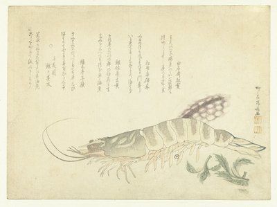 螯虾和墨鱼 作者 梦斋 板贯