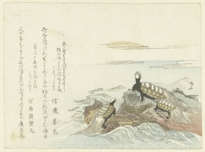 岩石上的乌龟 作者 龙宫京心斋