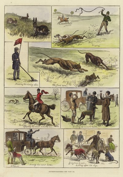 Coursing Matches 作者 S.T. Dadd
