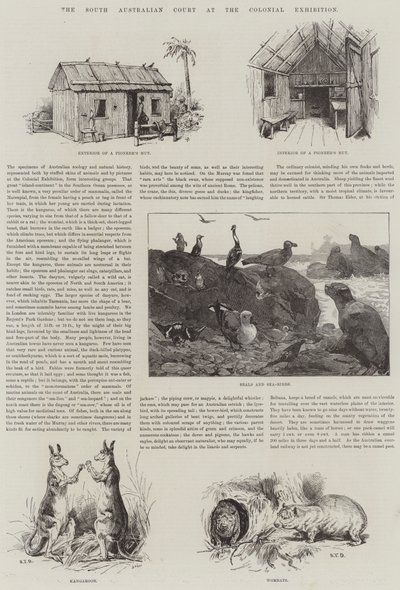 南澳大利亚法院在殖民地展览 作者 S.T. Dadd