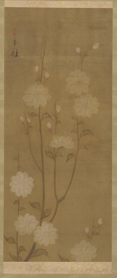下垂的樱花，江户时代，18世纪中叶至19世纪初。 作者 酒井保一