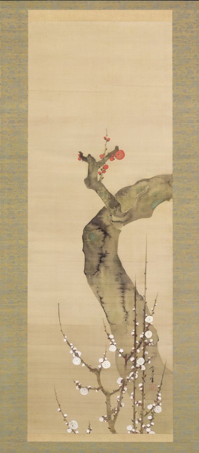 红白梅花（绢本水墨、彩色、金色） 作者 酒井O