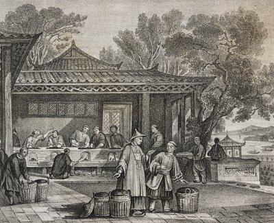 茶作坊，萨尔瓦托·普利亚 (Salvatore Puglia) 石版画，Poliorama Pittoresco，n 23，1 月 13 日 作者 萨尔瓦多·普利亚