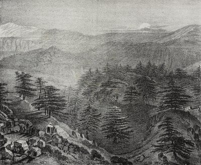 黎巴嫩山及其著名雪松的景色，萨尔瓦托·普利亚 (Salvatore Puglia) 的石版画，来自 Poliorama Pittoresco，n 10，10 月 15 日 作者 萨尔瓦多·普利亚