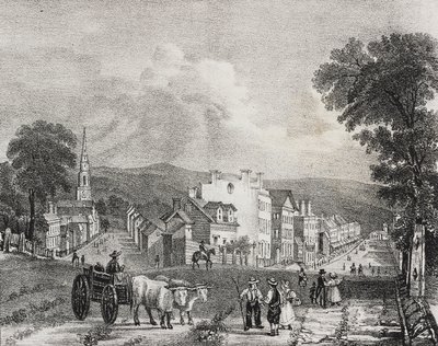 美利坚合众国乌提卡风景图，萨尔瓦多-普利亚的石版画，选自 Poliorama Pittoresco，第 49 期，7 月 13 日 作者 萨尔瓦多·普利亚