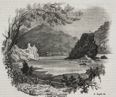 多瑙河景观，萨尔瓦托·普利亚 (Salvatore Puglia) 的石版画，来自 Poliorama Pittoresco，n 31，3 月 11 日 作者 萨尔瓦多·普利亚
