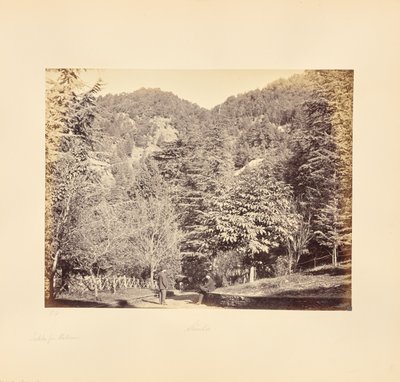 西姆拉；雅克科，来自 "Oakover"（汤加路全貌） 作者 塞缪尔·伯恩