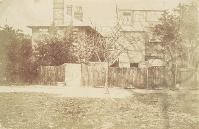 院子里的树，19世纪50年代。 作者 塞缪尔·巴克尔