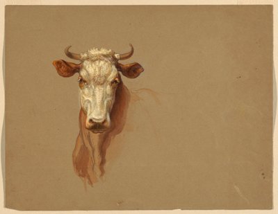 素描，两项研究。  牛，1876 年 作者 塞缪尔·科尔曼（Samuel Colman）