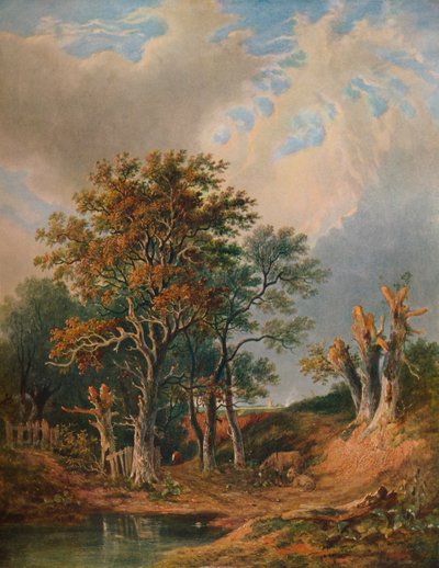 景观，1847年 作者 塞缪尔·戴维·科凯特
