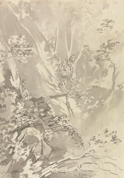 穿越峡谷桥梁的人物 作者 塞缪尔·戴维斯（Samuel Davis）