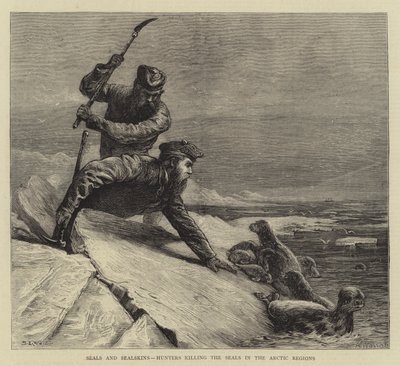 海豹和海豹，猎人杀死北极地区的海豹 作者 塞缪尔·埃德蒙·沃勒