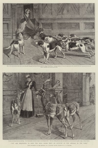 您需要在公园内的动物帐户中关闭大厅门 作者 Samuel Edmund Waller