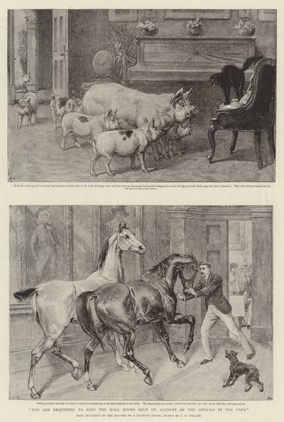 您需要在公园内的动物帐户中关闭大厅门 作者 Samuel Edmund Waller