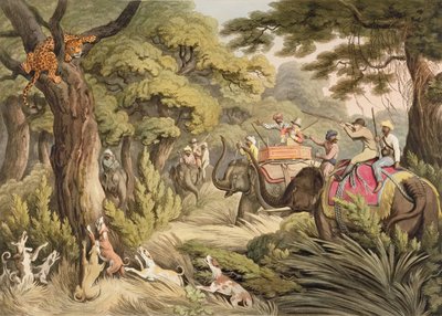 射击豹子，来自东方体育运动，酒吧。作者：Edward Orme，1807（印刷品） 作者 塞缪尔·豪威特