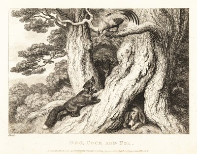 树上的公鸡智取狐狸，狗在睡觉。1811年（蚀刻版画） 作者 塞缪尔·豪伊特