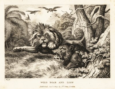狮子与野猪搏斗，秃鹫在上空盘旋。1811年（蚀刻版画） 作者 塞缪尔·豪伊特