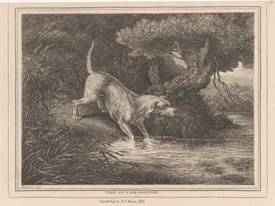 水獭猎犬 作者 塞缪尔·豪伊特