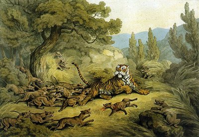 被野狗猎杀的老虎（纸上水彩画） 作者 塞缪尔·豪伊特