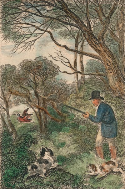 伍德科克射击，1819年。 作者 塞缪尔·豪伊特