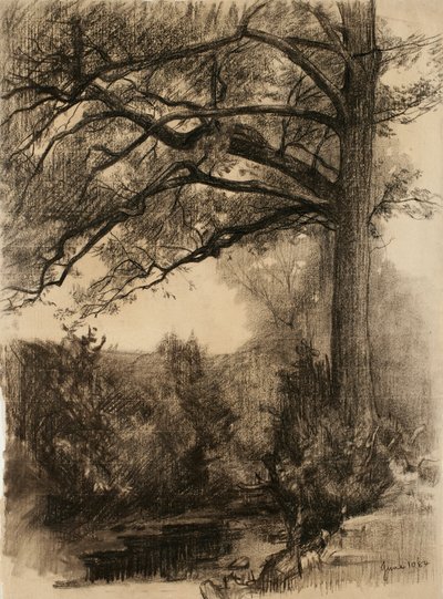 1884年的大树景观（浅黄色纸上的木炭） 作者 塞缪尔·伊沙姆（Samuel Isham）