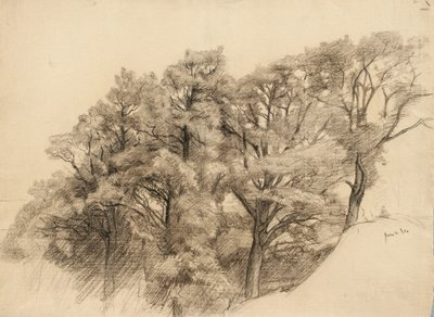 树木景观，1884年（浅黄色纸上的木炭） 作者 塞缪尔·伊沙姆（Samuel Isham）
