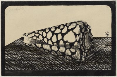 贝壳，向左 作者 Samuel Jessurun de Mesquita