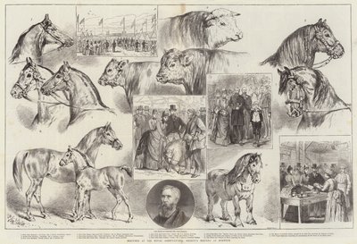 皇家农业协会在诺威奇举行的会议上的草图 作者 Samuel John Carter