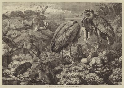 诺福克郡迪丁顿公园的Heronry 作者 塞缪尔·约翰·卡特